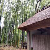 竹林の中にある茅葺の門
