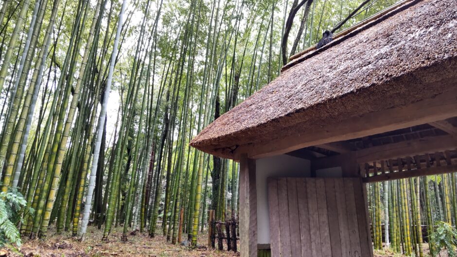 竹林の中にある茅葺の門